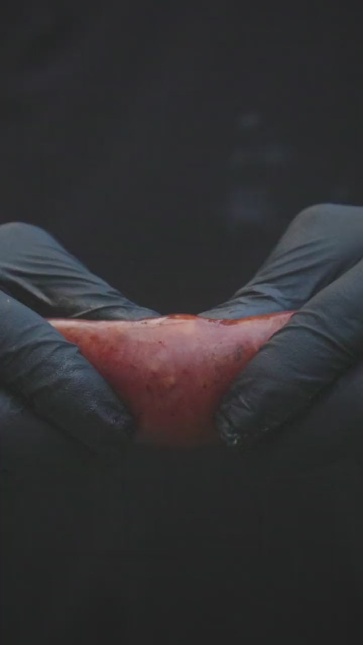 Signature Smoked Sausages, the intro clip from the Whatnot stream